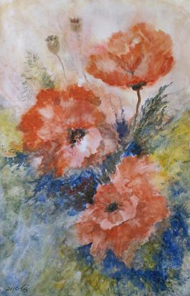 Poppies. Water-colour dream