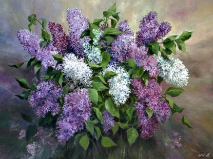 Fragrance of lilac