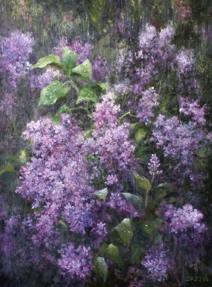 Rain in the lilac garden