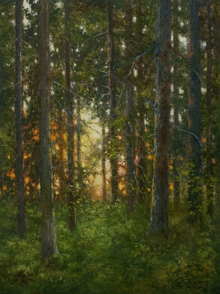 Evening forest