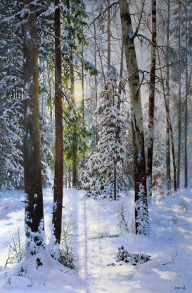 Morning in the winter forest
