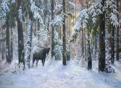 Elk in winter forest
