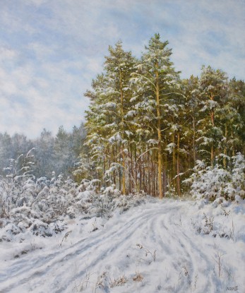 Winter at the edge of the forest