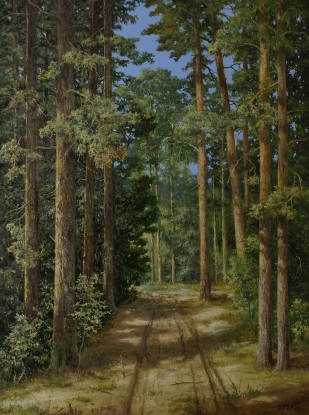 The road in the wood