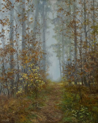 Through foggy paths