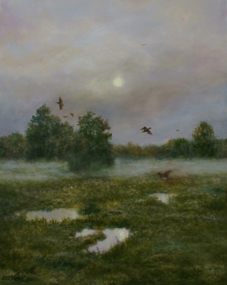 Dusk over the meadow