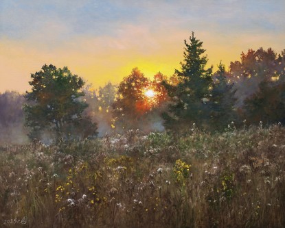 Sunset over meadow