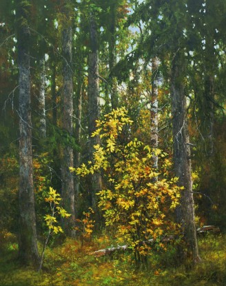 In the forest