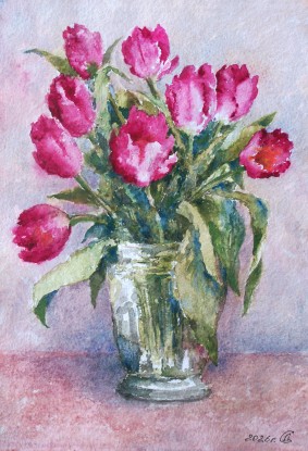 Red tulips